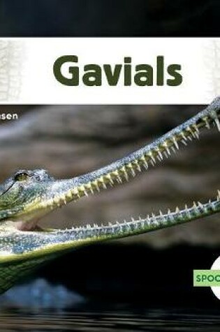 Cover of Gavials