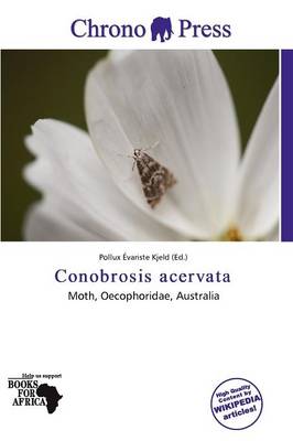 Book cover for Conobrosis Acervata