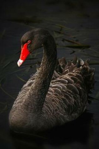 Cover of A Lovely and Elegant Black Swan Journal