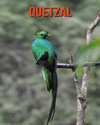 Book cover for Quetzal