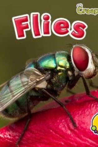 Cover of Flies