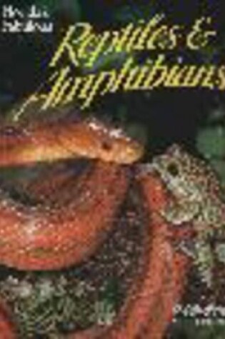 Cover of Florida's Fabulous Reptiles and Amphibians