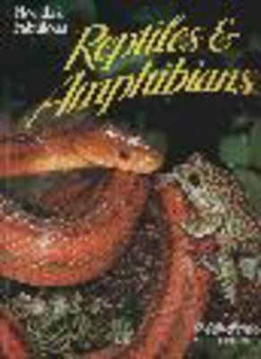 Book cover for Florida's Fabulous Reptiles and Amphibians