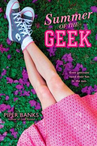 Book cover for Summer of the Geek
