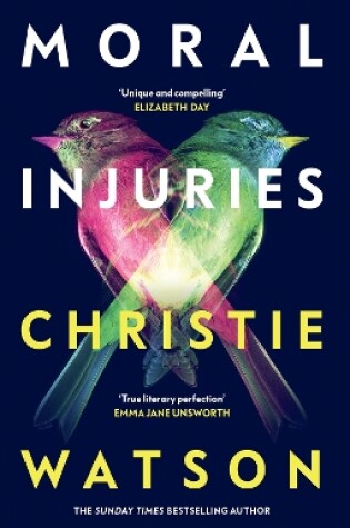 Cover of Moral Injuries