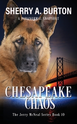 Book cover for Chesapeake Chaos