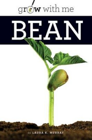 Cover of Bean