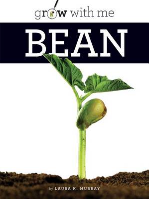 Book cover for Bean