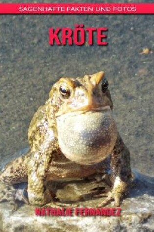 Cover of Kröte