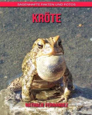 Book cover for Kröte