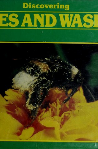 Cover of Discovering Bees and Wasps