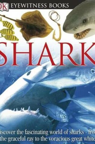 Cover of Shark