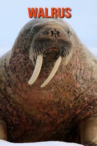 Cover of Walrus