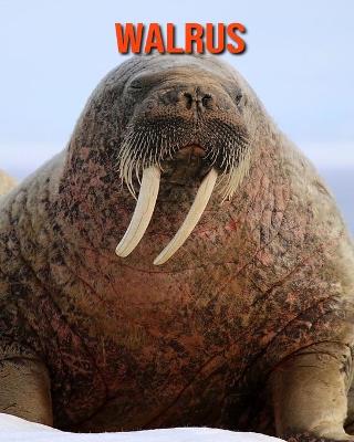 Book cover for Walrus