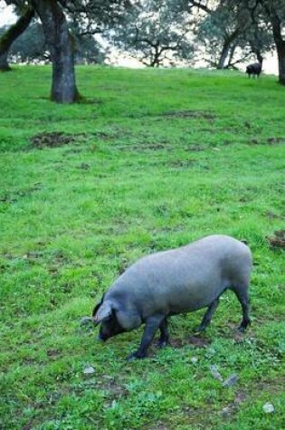 Cover of Iberian Pig in a Meadow in Spain Journal