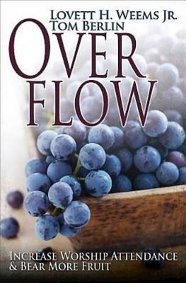 Book cover for Overflow