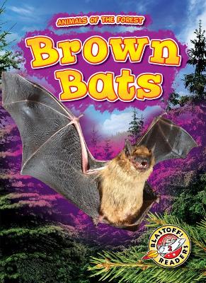 Book cover for Brown Bats