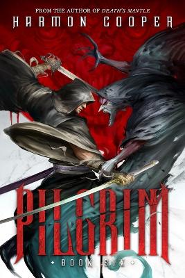 Cover of Pilgrim 6