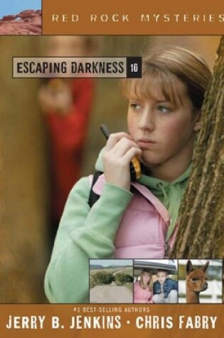 Cover of Escaping Darkness