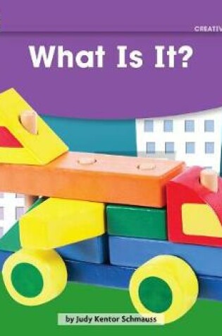 Cover of What Is It? Leveled Text