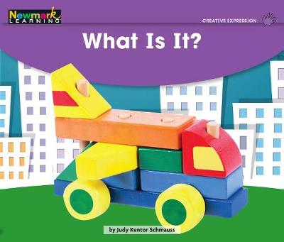 Book cover for What Is It? Leveled Text