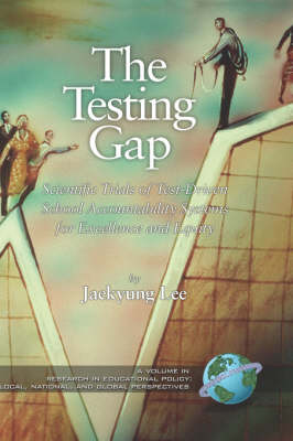 Book cover for The Testing Gap