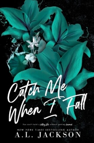 Cover of Catch Me When I Fall (Hardcover)