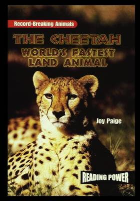 Book cover for The Cheetah