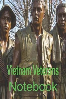 Book cover for Vietnam Veterans