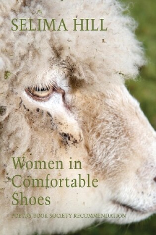 Cover of Women in Comfortable Shoes