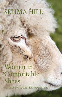 Book cover for Women in Comfortable Shoes