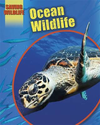 Book cover for Ocean Wildlife