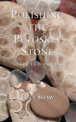 Book cover for Polishing the Petoskey Stone