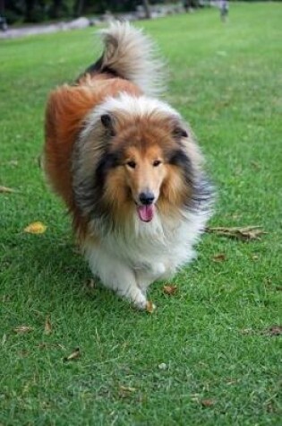 Cover of Rough Collie Running in the Grass Journal