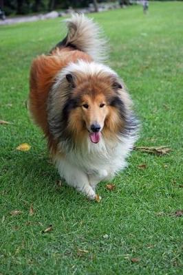 Book cover for Rough Collie Running in the Grass Journal