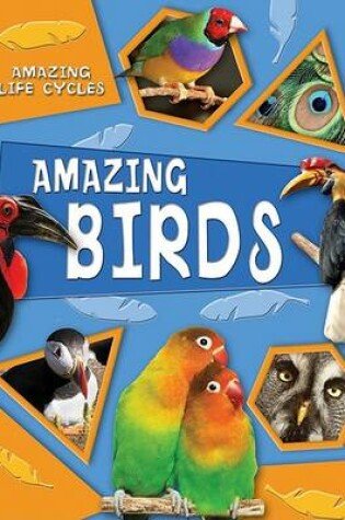 Cover of Amazing Birds