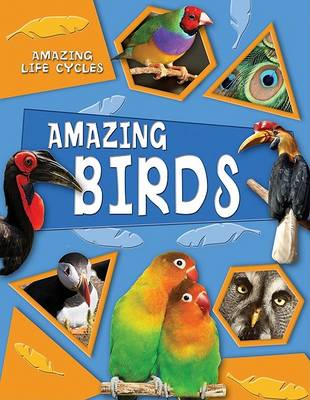 Book cover for Amazing Birds