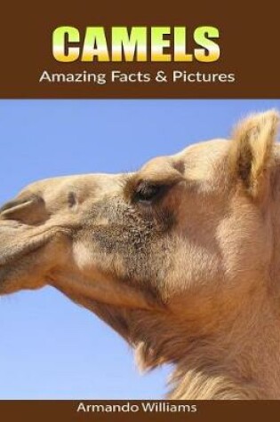 Cover of Camels