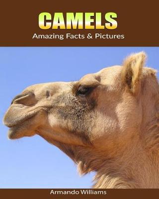 Book cover for Camels