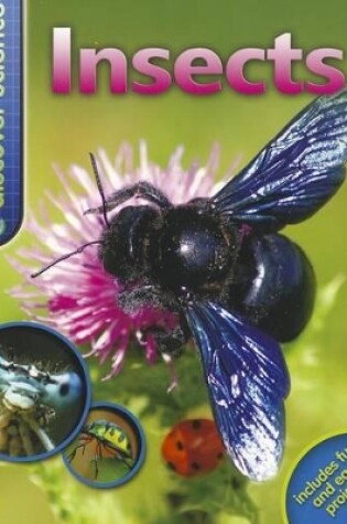 Cover of Discover Science: Insects