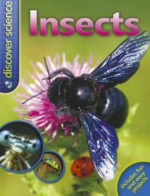 Book cover for Discover Science: Insects