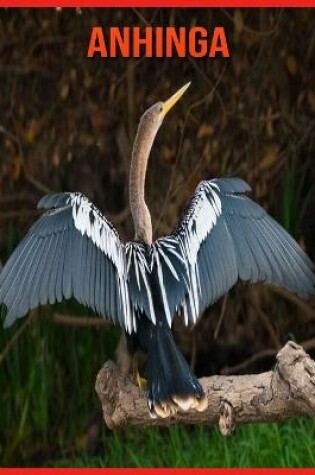 Cover of Anhinga