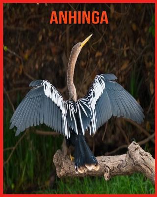 Book cover for Anhinga