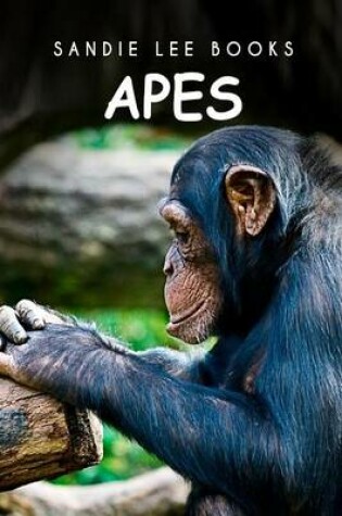 Cover of Apes - Sandie Lee Books