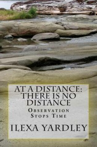 Cover of At A Distance