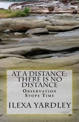 Book cover for At A Distance