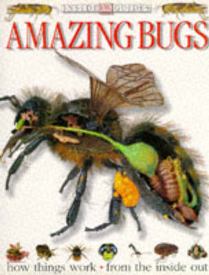 Book cover for Inside Guide:  Amazing Bugs