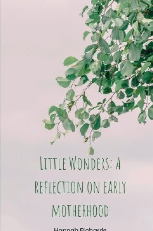 Cover of Little Wonders