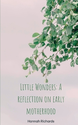 Book cover for Little Wonders