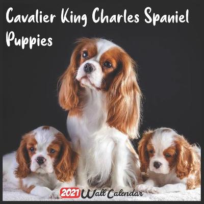 Book cover for Cavalier King Charles Spaniel Puppies 2021 Wall Calendar